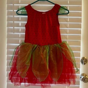 Gymboree Strawberry Fairy Dress